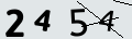 verifycode